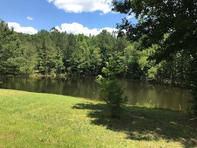 147 Pond Ln, Tennessee Ridge, TN 37178 - photo 2