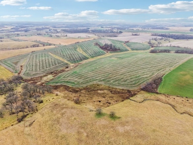 0 County Hwy E, Linden, WI 53565 - photo 4