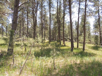 Lot 22 DiamondE Upper French Creek Rd unit TBD Upper French Cre, West Custer, SD 57730 - photo 7
