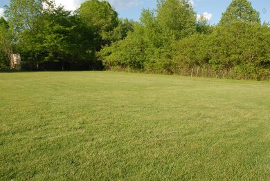 View of the Gorgeous Backyard!