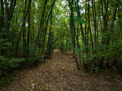 00 Red Arrow Hwy, Bridgman, MI 49106 - photo 7