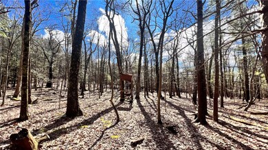 Lot 18.3 Treetops Trail, Mamakating, NY 12721 - photo 4