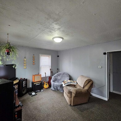 209 N Pine St, Adams, WI 53910 - photo 4