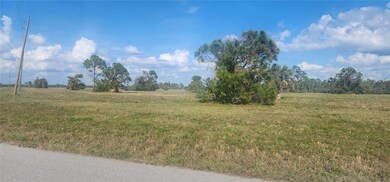 13014 Emerald Rd, Meadows and Villas, FL 33946 - photo 7