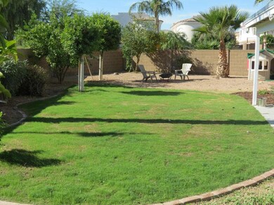 Backyard longview