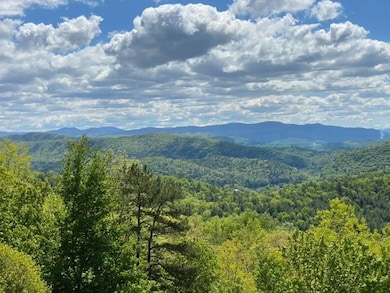 16 Diamond Pointe, Butler, TN 37640 - photo 7