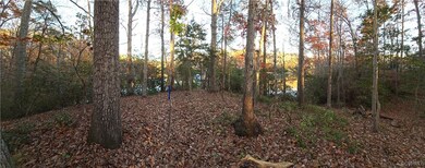 Panoramic water view