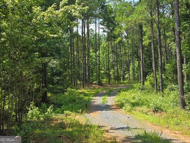 0 Faulkner Rd unit LOT 4 10468618, Monticello, GA 31064 - photo 5