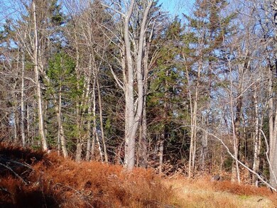 0 Upper Fisher Rd, Roxbury, VT 05663 - photo 7