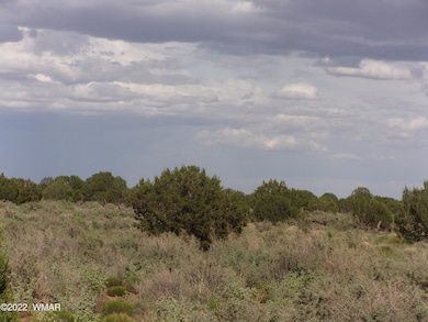 5371 Valley Rd, Snowflake, AZ 85937 - photo 2