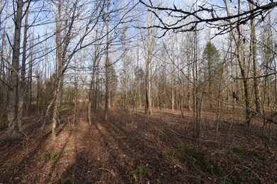 824 Buffalo Bottom Rd, Linden, TN 37096 - photo 3