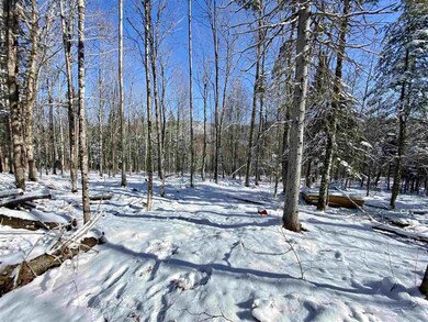 21 Boudreau Ln unit 21, Stewartstown, NH 03576 - photo 4