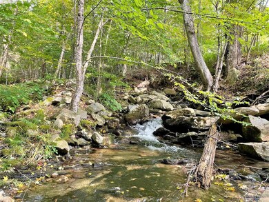 VT Vermont Route 100, Weston, VT 05161 - photo 3
