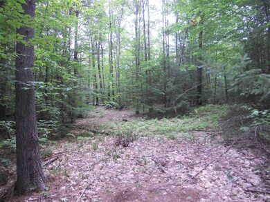 141 Sparling Hill Rd, Unity, NH 03743 - photo 5