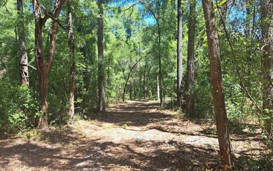 4359 288th St, Branford, FL 32008 - photo 7