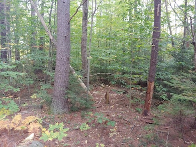 Lot 72 Holmes Rd, Barnstead, NH 03225 - photo 6