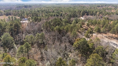 597 Addor Rd, Pinebluff, NC 28373 - photo 4