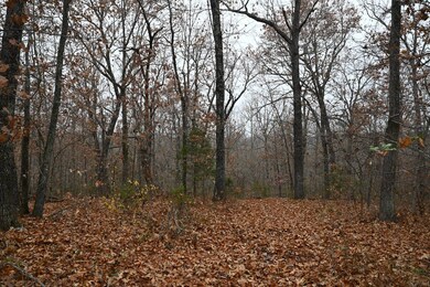 21010 Trailing Vine Ln, Lebanon, MO 65536 - photo 4