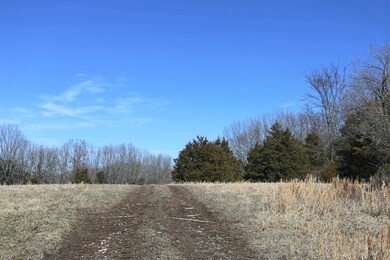 IMG_4450
