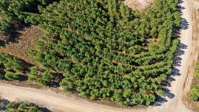 293 Legacy Vista Trail, Broken Bow, OK 74728 - photo 5