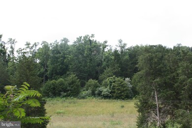 0 Mt Hebron unit 1003241155, Strasburg, VA 22657 - photo 3