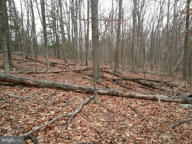 0 Center Ridge Rd unit 1002799038, Berkeley Springs, WV 25411 - photo 2