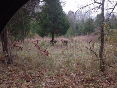 1 Baxter Ridge Rd, Lawrenceburg, KY 40342 - photo 2