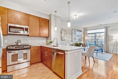 8005 13th St unit 204, Silver Spring, MD 20910 - photo 3