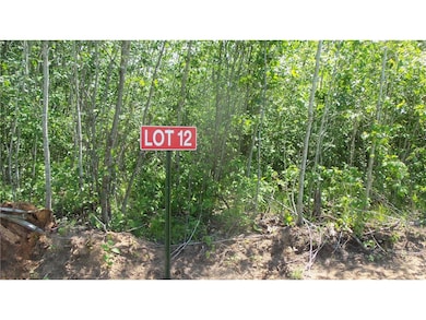 LOT 12 Red Maple Ln, Siren, WI 54872 - photo 3