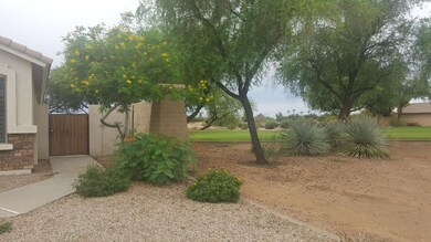 Green Space Adjacent to Home