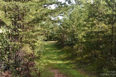 0 Highway 70 E, Nebo, NC 28761 - photo 7