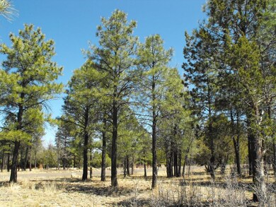 4 Lot 398 Navajo