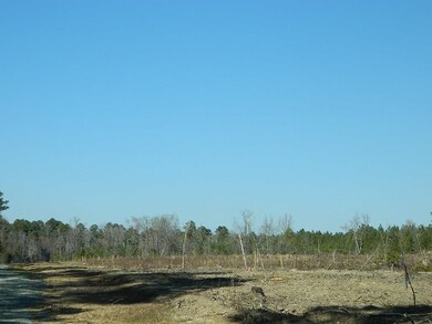 Lot 2 N Carolina 902, Pittsboro, NC 27312 - photo 4