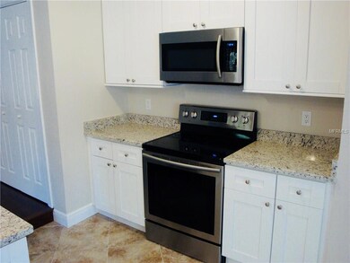 4317 W Vasconia St, Tampa, FL 33629 - photo 6