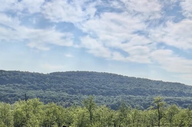 tbd N Chodikee Lake Rd, Highland, NY 12528 - photo 6