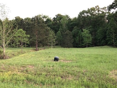 105 Paces Ln, Boston, GA 31626 - photo 7