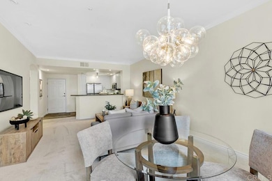 Combo Dining and Family Room