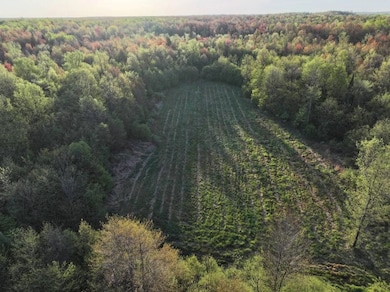 N2060 Meridian Rd, Prentice, WI 54556 - photo 6