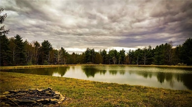 0 Dawes Hill Rd, Newfield, NY 14867 - photo 2