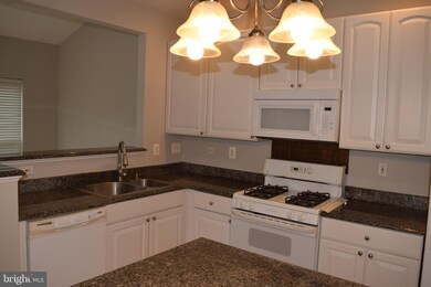 219 Arbor Vista Ln, Owings Mills, MD 21117 - photo 6