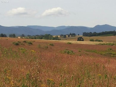 0 Ballston (Off Of) Rd unit 14474319, Sheridan, OR 97378 - photo 3