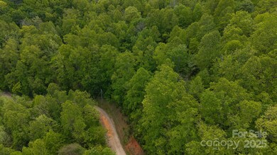 TBD Cove Gap Rd unit multiple lots, Moravian Falls, NC 28654 - photo 5