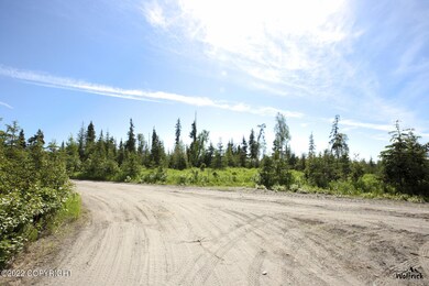 D19 Alaskan Wildwood Ranch, Anchor Point, AK 99556 - photo 5