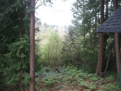 17805 Clear Lake Blvd SE, Yelm, WA 98597 - photo 3