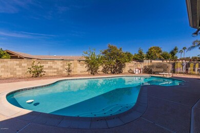 Large Diving Pool