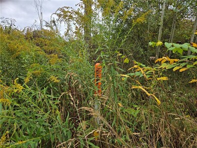 V/L Parkman Rd, Windham, OH 44288 - photo 7