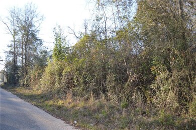 0 Bateman Rd, Franklinton, LA 70438 - photo 5