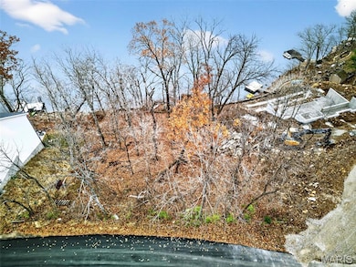 1539 S Lake Sherwood Dr, Lake Sherwood, MO 63357 - photo 4