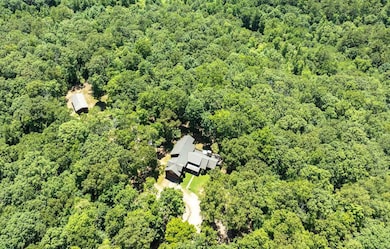 381 Ross Dr, Mineral Bluff, GA 30559 - photo 5