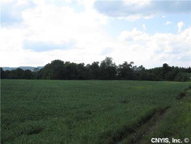 Land View toward NW - property line is beyond tree